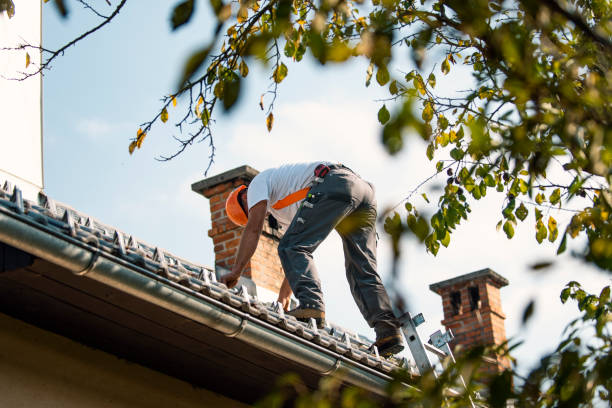 Best Sealant for Roof  in Marshall, MI