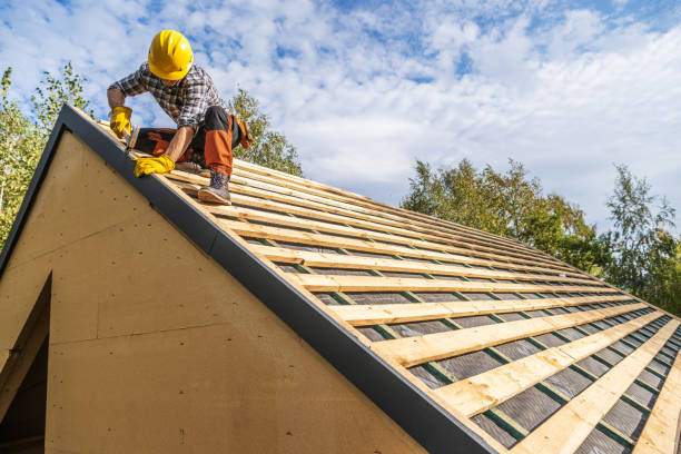 Roof Gutter Cleaning in Marshall, MI