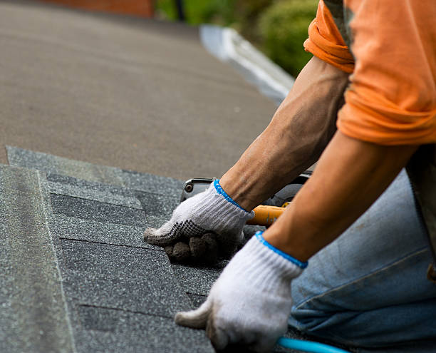 Best Roof Repair Services  in Marshall, MI